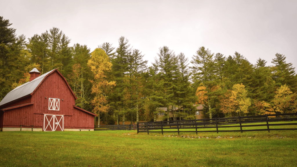 Administracion Agropecuaria