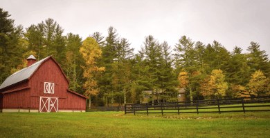 Administracion Agropecuaria