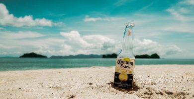 ciencias de la fermentacion