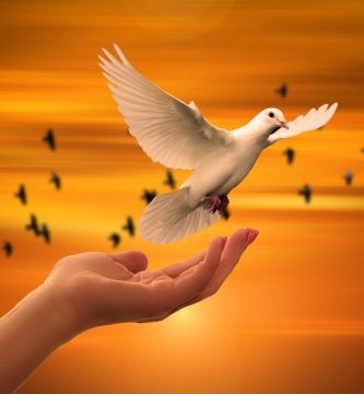 dove g8de6cbffb 1920