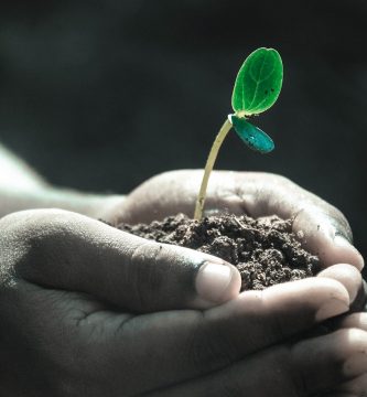 hands g842eb8fd9 1920