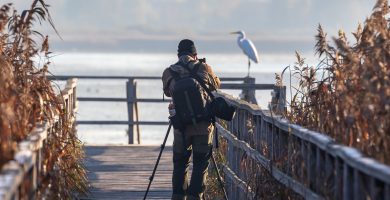 ilustración-cientifica