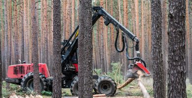 forest g276e0ada9 1920