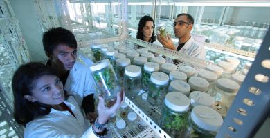 laboratory g5a163b8fb 1920