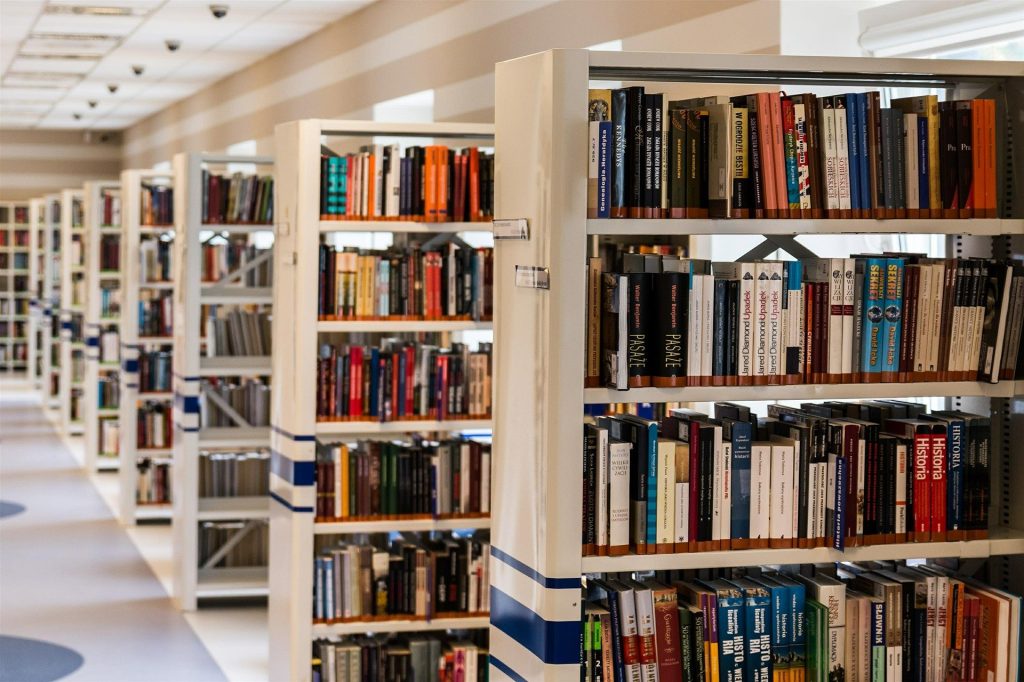 bibliotecologia