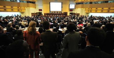 administracion publica