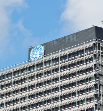 ONU ciencias politicas