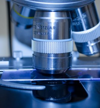 microscopio