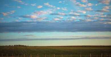 Ingeniería Agrícola