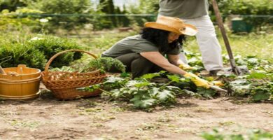 protección ambiental