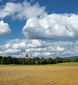 agricultura
