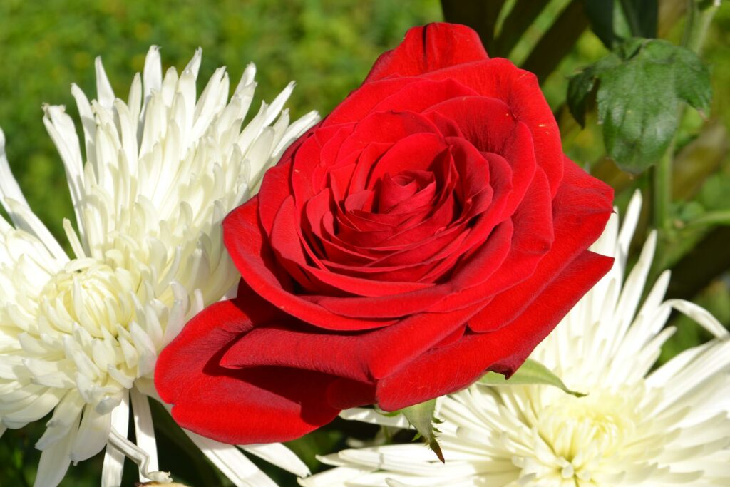 hd wallpaper 3287770 1920