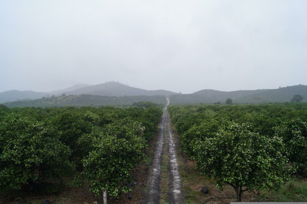 Cuidas de la naturaleza