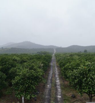 Cuidas de la naturaleza