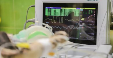 ingeniero biomédico