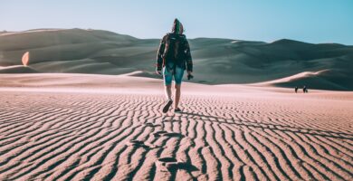 Experto agroecología