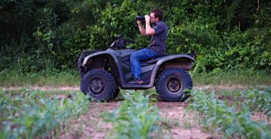 Habilidades agroindustrial