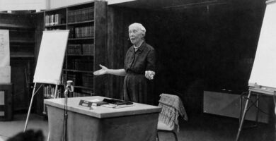 IMG 0 Dama ingenieria